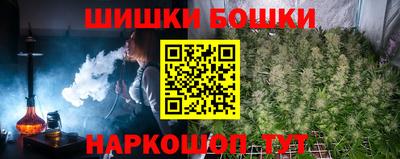 сатива Ставрополь