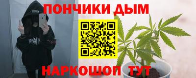 сатива Ставрополь