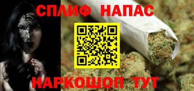 сатива Ставрополь