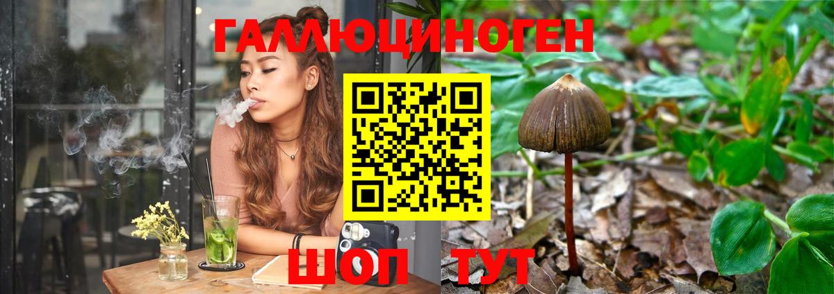Галлюциногенные грибы MAGIC MUSHROOMS Ногинск