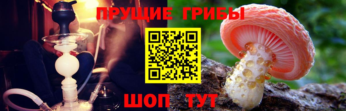 Галлюциногенные грибы Cubensis  Вход с VPN  наркота  Ногинск 